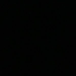 Meet your Posher, Martha